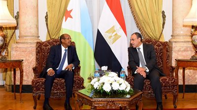 5 ملفات هامة تسيطر علي مباحثات وزير الخارجية ونظيره الجيبوتي.. تعرف عليهم