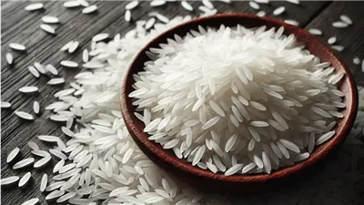 تعرف على سعر طن الأرز الشعير اليوم الأحد 2 فبراير 2025.. وصل لكام