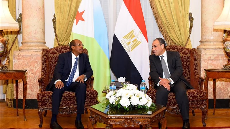 مباحثات وزير الخارجية