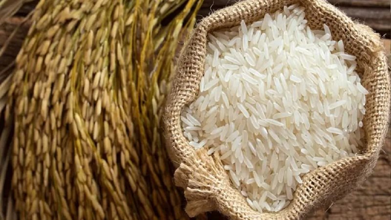 سعر طن الأرز الشعير