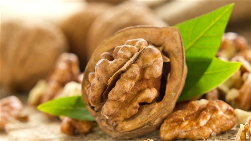 الجوز
