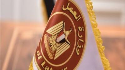 وظائف وزارة العمل في 11 محافظة.. تفاصيل التقديم على 3701 فرصة عمل 
