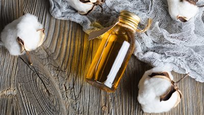 زيوت البذور في نظامك الغذائي .. هل هي مفيدة أم مضرة للصحة؟