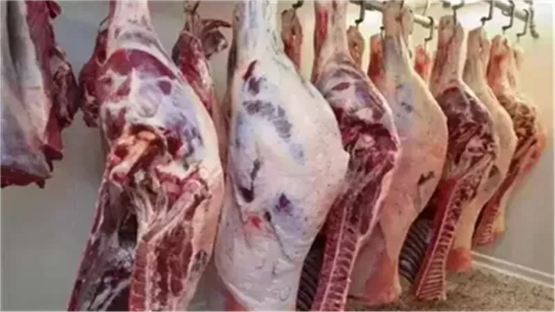 أسعار اللحوم الحمراء