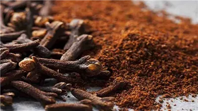 فوائد القرنفل.. سحر مضغه على الريق مذهل لهذا السبب