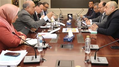 وزيرا الكهرباء وقطاع الأعمال العام يبحثان التعاون في تنفيذ مشروعات الطاقة المتجددة 