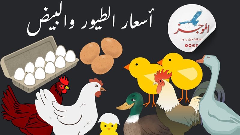 أسعار الدواجن البيضاء