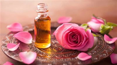 الورد البلدى.. سر الجمال الطبيعي وعلاج البشرة المتكامل 