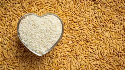 سعر طن الأرز الشعير اليوم في الأسواق المصرية.. وصل كام