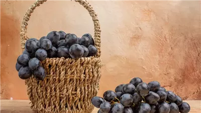 فوائد مجهولة عن العنب الأسود.. أبرزها الحماية من الأمراض والرؤية