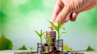 أفضل شهادات الادخار في البنوك المصرية 2025 .. استثمار مضمون