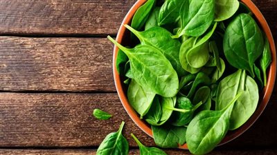 فقدان القيمة الغذائية..  لماذا تحتاج السبانخ إلى تخزين مثالي؟