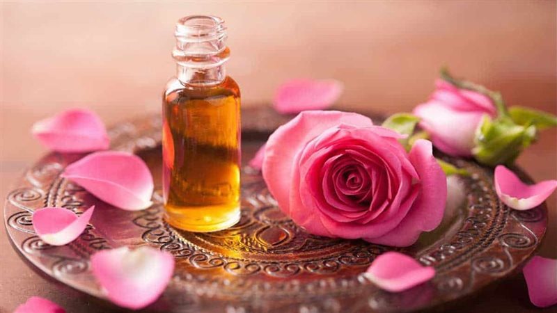 الورد البلدى