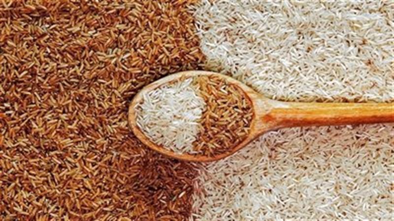 كام سعر طن الأرز