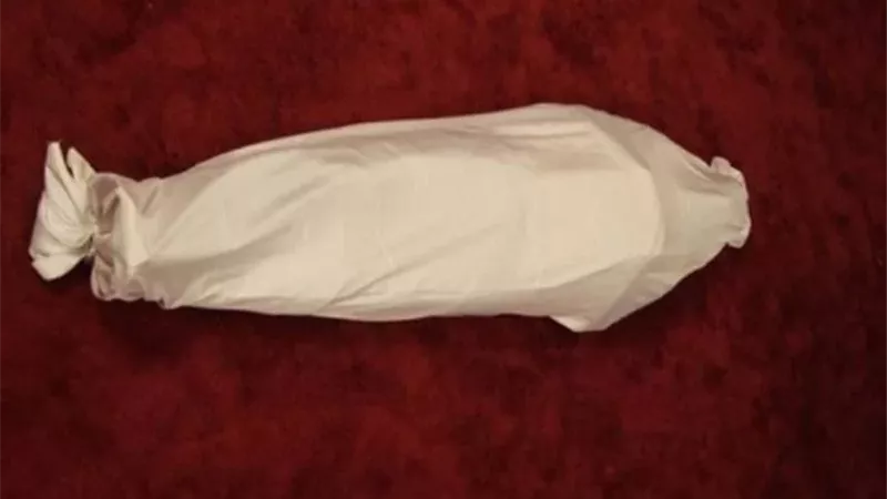 ضحية حادث المعادي
