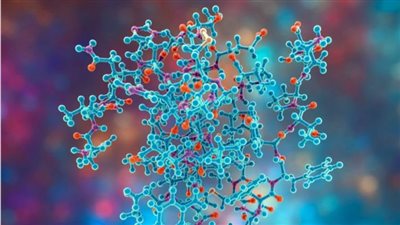  أفضل 5 أعشاب لدعم صحة الهرمونات والغدة الدرقية