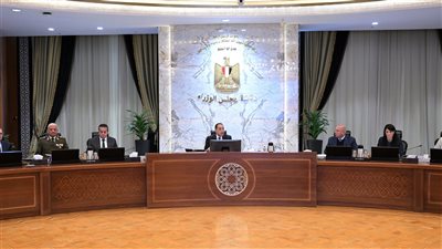 13 قافلة مُساعدات لأهالي قطاع غزة.. تصريحات حاسمة في اجتماع الحكومة اليوم