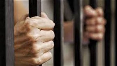 المشدد 6 سنوات من نصيب تاجر مخدرات سوهاج وغرامة 100 ألف جنيه 