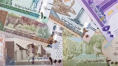 سعر الجنيه السوداني مقابل الجنيه المصري اليوم الجمعة  14 فبراير 2025