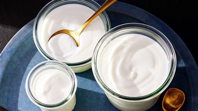 لماذا يجب تتناول الزبادي يوميًا؟.. 5 فوائد صحية لا تُقدّر بثمن