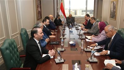 مشروعات الطاقة المتجددة.. كواليس مباحثات وزير الكهرباء وأكوا باور دعم وتعزيز التعاون