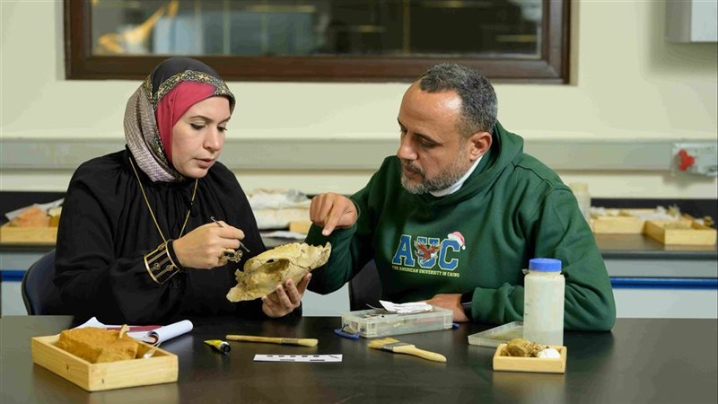 اكتشاف جمجمة لحيوان