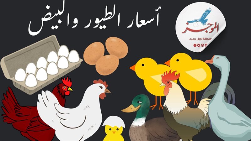أسعار الدواجن البيضاء