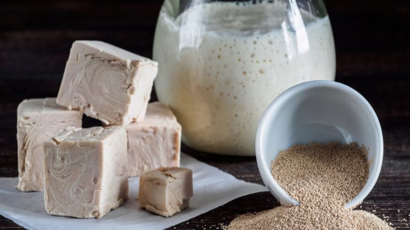 فوائد مشروب الخميرة