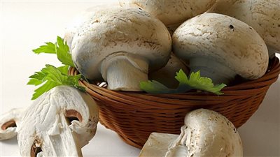 المشروم.. تعرف على فوائد وجود بفطار رمضان 2025