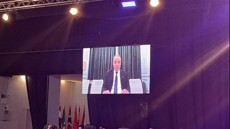 السفير بدر عبدالعاطي