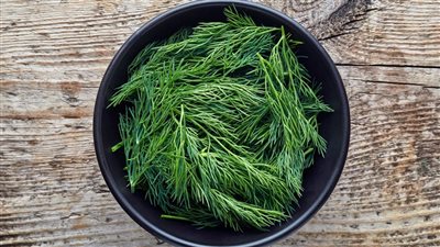 فوائد الشبت الكثيرة والرائعة والفريدة للقلب والجسم كله عامة  