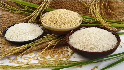 سعر طن الأرز الشعير اليوم الأحد.. توقعات بالانخفاض قبل رمضان