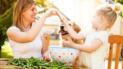 ماذا تأكل الكلاب الصغيرة؟.. قائمة بالأطعمة المفيدة والممنوعة