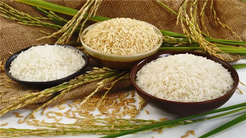 سعر طن الأرز الشعير