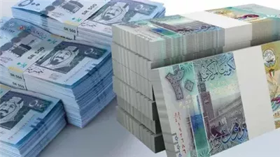 أسعار العملات مقابل الجنيه اليوم الأربعاء 26-2-2025