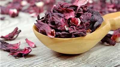 أسرار الكركديه الصحية.. من فقدان الوزن إلى الوقاية من السرطان