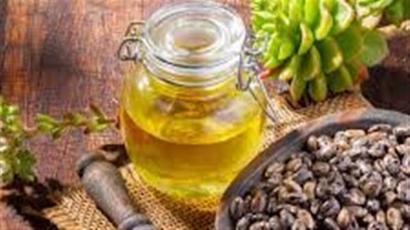 زيت الخروع