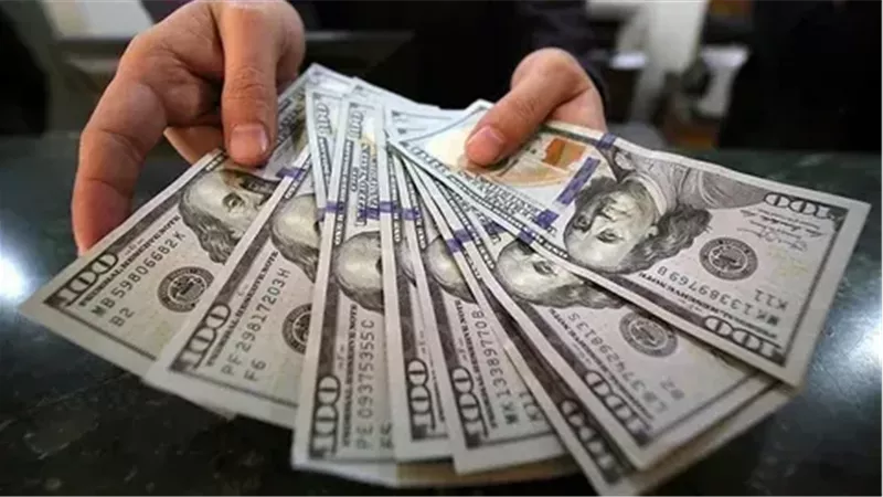 سعر الدولار اليوم