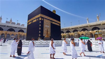 استعلام عن باركود العمرة.. إليك الدليل الشامل بخطوات بسيطة 