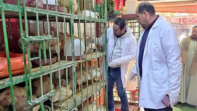 حملات للطب البيطري على منافذ بيع اللحوم والأسماك والمطاعم بسوهاج استعدادًا لرمضان