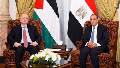 وزير الخارجية يبحث مع نظيره الفلسطيني الترتيبات الجارية للقمة العربية بشأن غـ ـزة