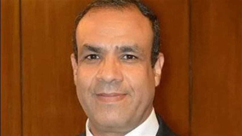 السفير بدر عبدالعاطي