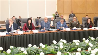 وزير الكهرباء يترأس اجتماع المجلس الأعلى للطاقة لبحث 11 مشروعا صناعيا جديدا 