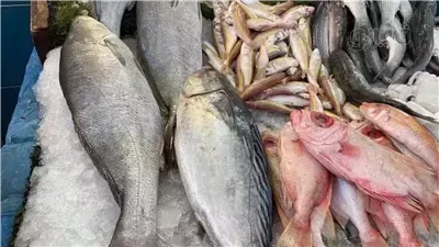 اسعار السمك اليوم الجمعة 7 رمضان بسوق العبور للجملة