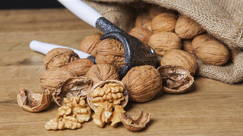 عين الجمل في رمضان