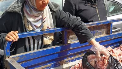 الجيزة تكشف تفاصيل ضبط 13 طن مصنعات لحوم ودواجن فاسدة في هذه المناطق
