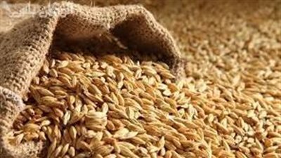 ⁩ أسعار الأرز الشعير اليوم السبت 8-3-2025 داخل الأسواق للتجار والمستهلك 