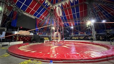 ذبح الحمير أبرز المخالفات داخل السيرك القومي.. والثقافة تحيل المتهمين للمحاكمة التأديبية