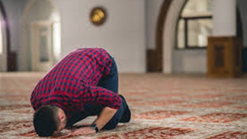 ساجد