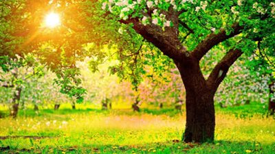 موعد بدء فصل الربيع 2025 تزامنا مع قرب انتهاء الشتاء